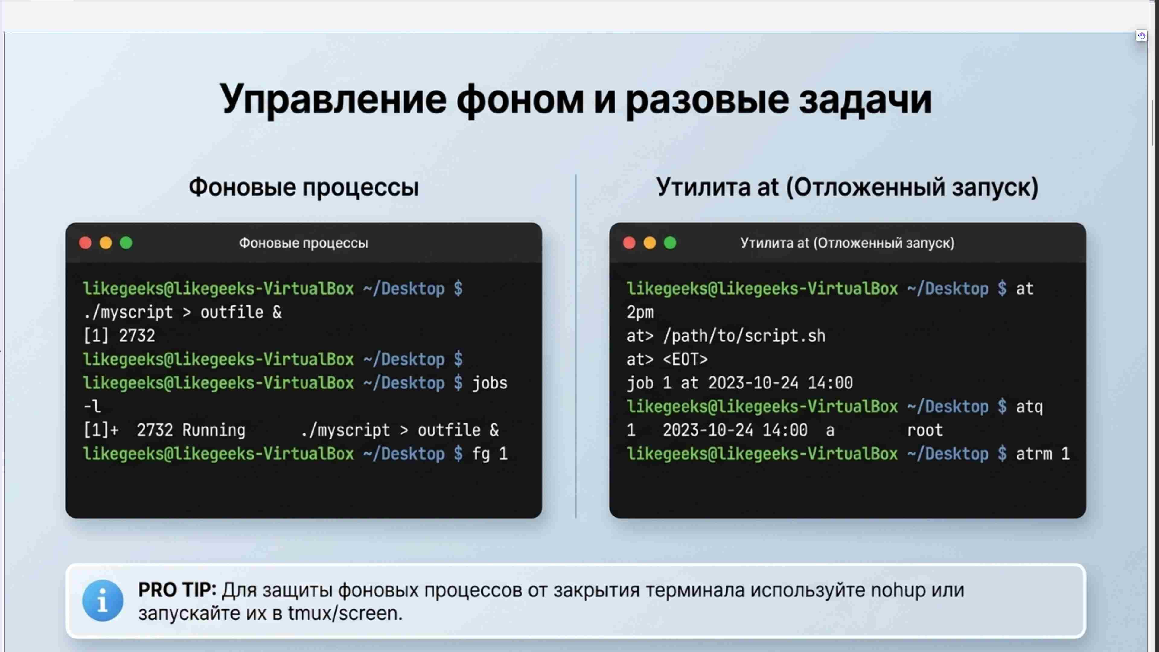Командная строка, удаленный доступ, права, пользователи, поцессы, пакеты, загрузка Linux, файловая система, bash, текст в Linux, сеть, Python в Linux, git, сокеты, асинхронное программировние, сервер, сетевые приложения 57