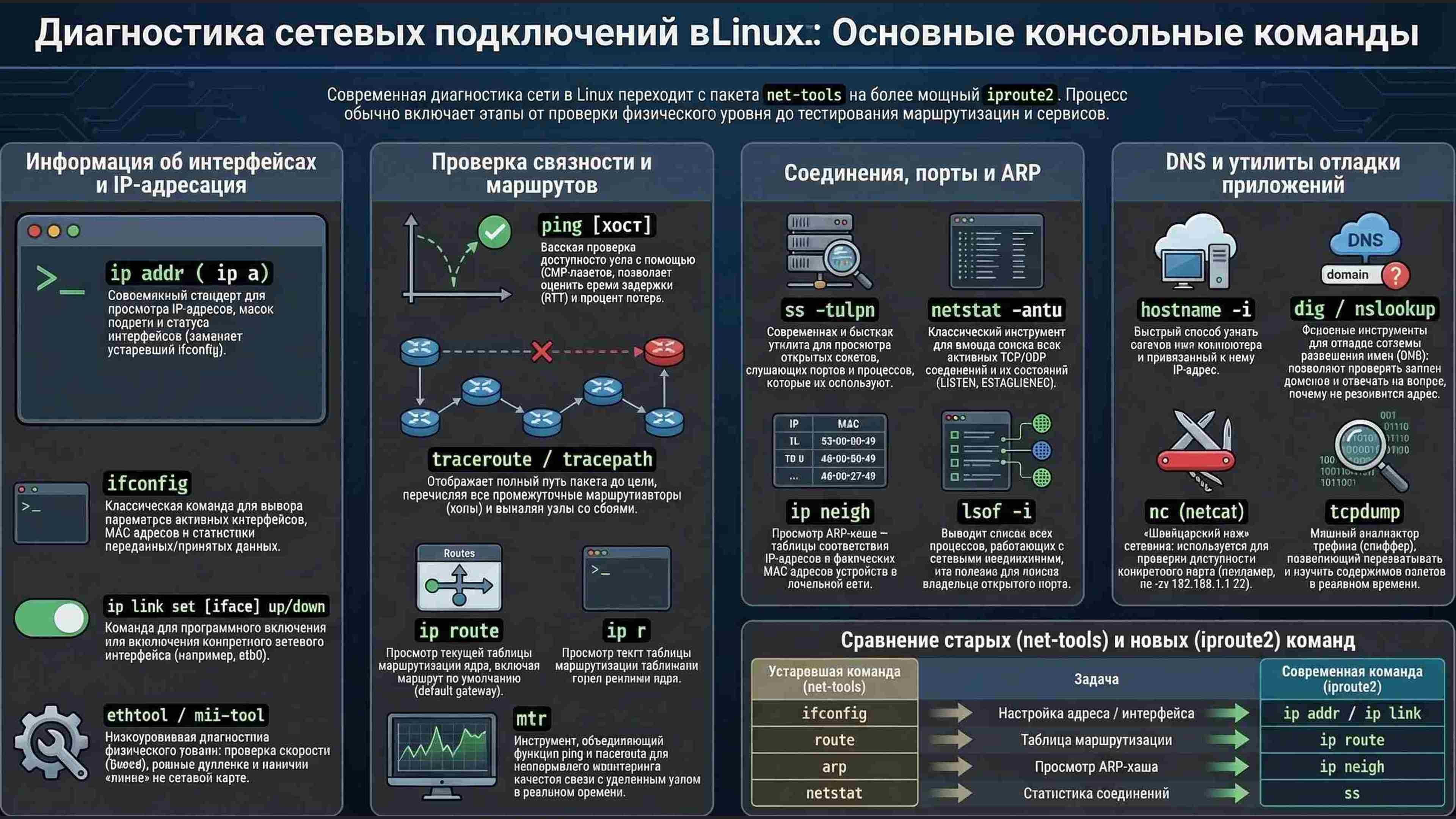 Командная строка, удаленный доступ, права, пользователи, поцессы, пакеты, загрузка Linux, файловая система, bash, текст в Linux, сеть, Python в Linux, git, сокеты, асинхронное программировние, сервер, сетевые приложения 12