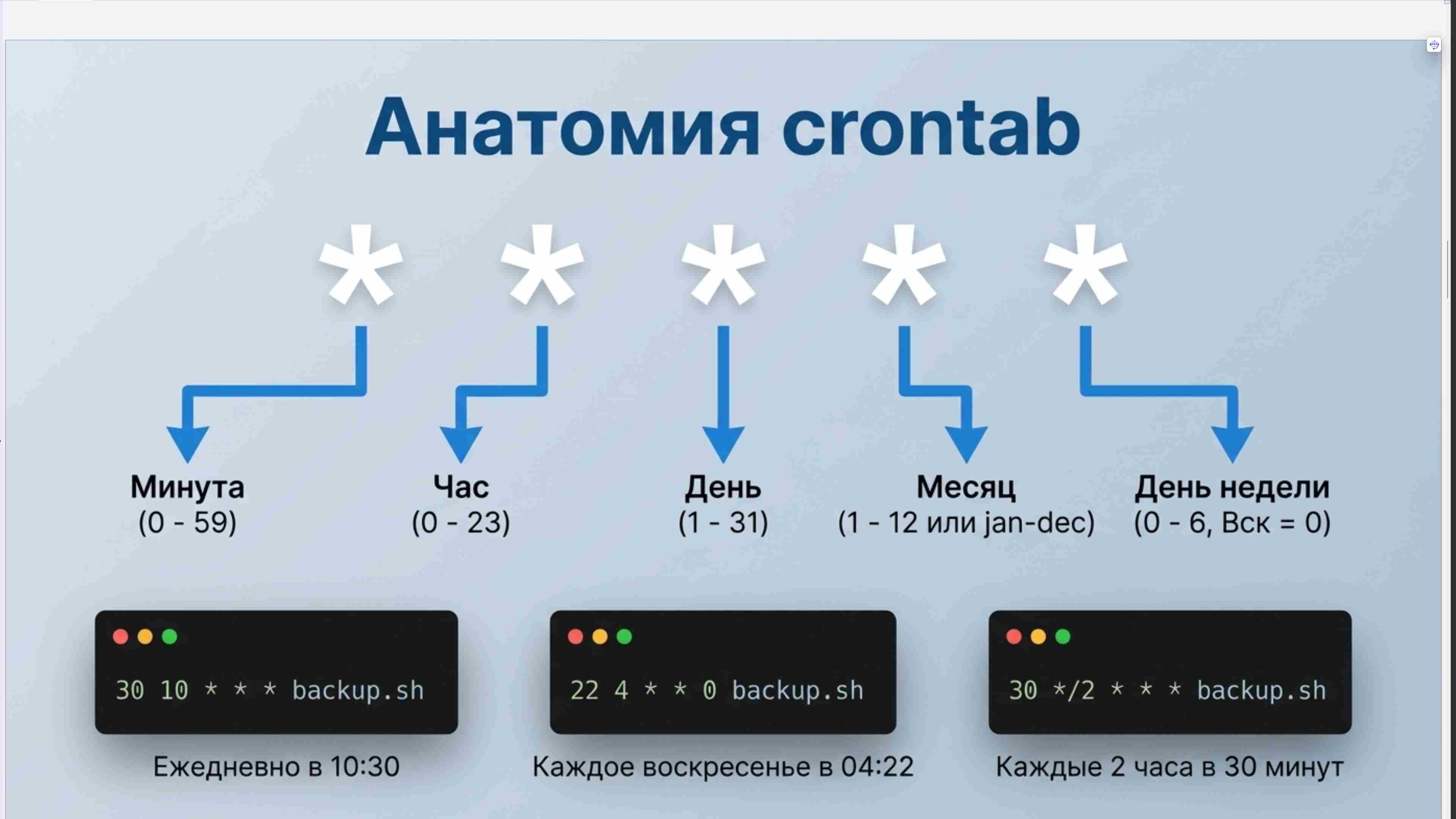 Командная строка, удаленный доступ, права, пользователи, поцессы, пакеты, загрузка Linux, файловая система, bash, текст в Linux, сеть, Python в Linux, git, сокеты, асинхронное программировние, сервер, сетевые приложения 55